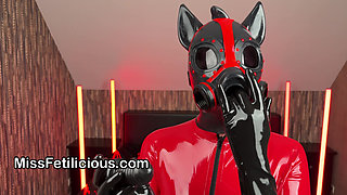 Feturax Pony Hood in the Spotlight