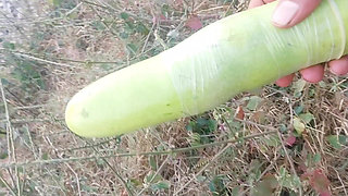 I fucked my ass by putting a condom on a very big gourd.