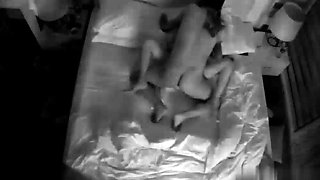 Amateur Hidden Cams Reveal Cock Riding Hoes