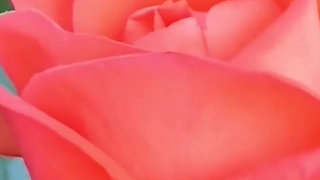 Lets Unlock Those Secrets of Anal Pleasure