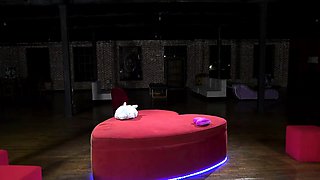 Adira Allure, Anne Amari And Mini Stallion Have Squirting