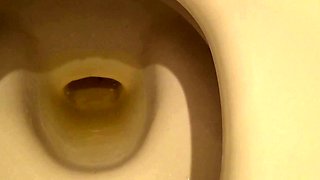 Hairy teen pees in toilet