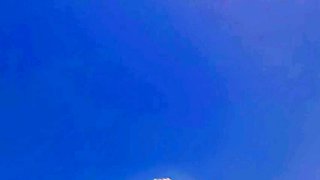 Close up fuck and cumshot