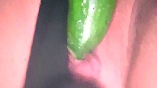 Cucumber Planting Lesson