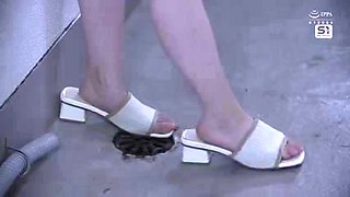 522-wguuhy-ouhsgy-poo-one