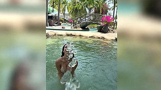 Boobs Flashing Outdoor, Ahegao, Spit, Getting Wet