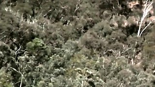 Living in the Australian Bush as a Nudist