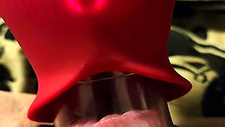 I Got Lots of Toys Another Sucking Licking Toy to Try