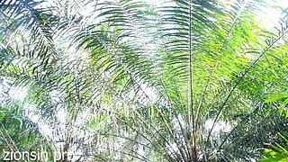 African Teen Fucking in the Bush with Big Black Cock