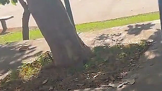 Wife Shows off in Public at the Park!