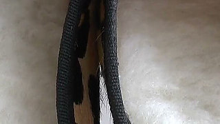 Sole Cumming! Cum in My Ballet Flats - Lady Victoria Valente