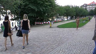 Brunette Flashing Her Titties And Pussy Outdoors In Public