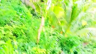 Sunny Leone Hot Indian Desi Girl First Time Bar Chudai Amazing New Video