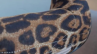 How Amazing Is the Detail on My Leopard Print Boots