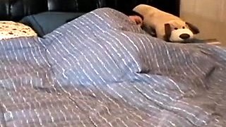 Reyja: Diapers Self in Bed