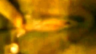 Brazilian Housemaid Pussy Pounded