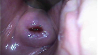 Extreme Close-up Pussy Cam