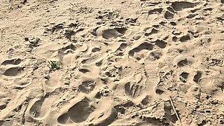 Nude Beach, People I Lost Control