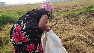 Desi Village Girl Nomita Boud Peeing Outdoor in Paddy Field - Hot Indian Fucking & Creampie Sex