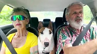 New Oahu road trip sex: Windward side fucking in car