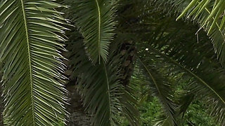 Two Busty MILF's Give Their Holes to This Fat Dick