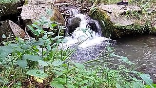 Reality european amateur sucks cock for cash outdoors