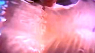 Live Pool Intercourse