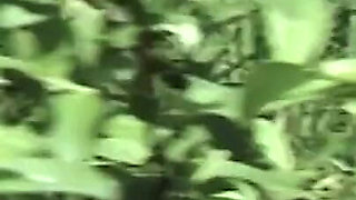 Nude Milf masturbating outdoors