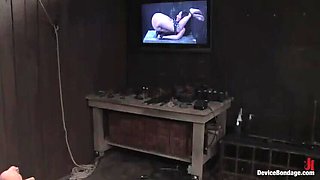 Angelica Saige Sexy College Girl Gets Hogtied and Fingered in Hardcore Bondage