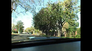 Interracial Lust in the Bedroom