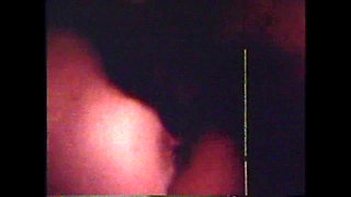 Andrea True the Cock Suckers