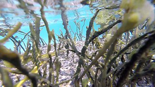 The most erotic cunt masturbation