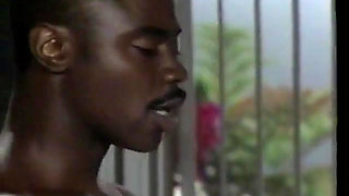 Muscular Black Stud Penetrates Young White Beauty