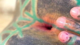 Tattoo Girl Masturbating, Fingering Her Pussy and Ass