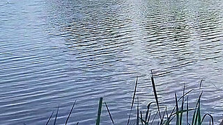 Paradise Fucking with the Best View in the World with the Man I Love Most for Life.