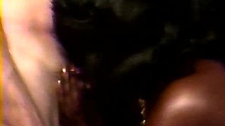 CIMA black and ebony