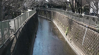 M968g02 a Kind Neighborhood Association Member!? Impregnation Sex of a Young Wife Who Came From a Rural Area!