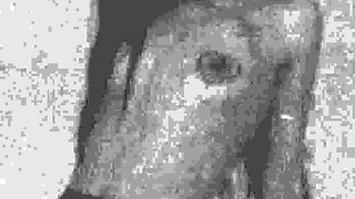 Kore Fox Intro Video Naked