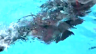 Wetsuit Bondage Mermaid Slippery Pool Kink with Fins, Rope & Deep Diving