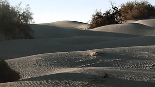 Hot 2017 Celebrity Sex Movie - Wild Scenes