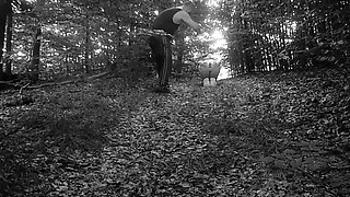 Pet Girl Obedience Training