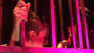 The Cage for the Bitch