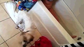 peeking at my blonde niece in the bathroom