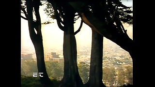 If Not, Believe It, Lower My Pants and You'll See