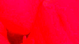 Masked Dominant POV - She Sucks Me Hard, I Finish on Her Clit!