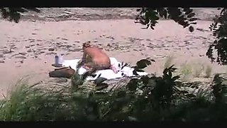 voyeur catches MILF on a beach