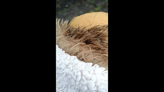 My Latina Colombian College stepbrother Sucks Me Off in a Park Swallows My Milk