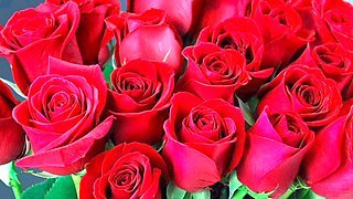 Jaw-dropping mature hotwife in saree has a wild adventure with her husband